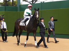 20160410 中山4R 3歳未勝利 ツボミ 16