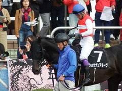 20180408 中山11R 春雷S(OP) ショウナンアチーヴ 11