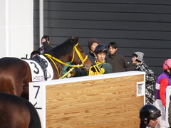 20150104 中山2R 3歳未勝利 ノーブルクリスタル 14