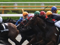 20170624 函館10R 湯川特別(500) ヤマニンリュウセイ 10