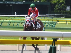 20170617 東京1R 2歳未勝利 サラート 21