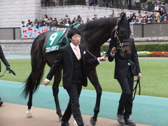 20151123 東京11R 東スポ杯2歳S(G2) プロディガルサン 01