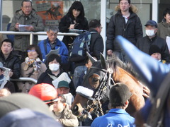 20160124 中山5R 3歳未勝利 アークアーセナル 10