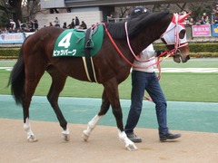 20190216 東京11R ダイヤモンドS(G3) ピッツバーグ 09