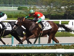 20161002 阪神5R 2歳メイクデビュー プンメリン 25