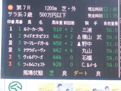 20190114 中山7R 3歳(500) ヴァルドワーズ 01