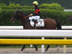 20170618 東京4R 3歳未勝利 ホウオウジャンプ 16