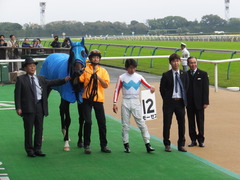 20151017 東京4R 2歳メイクデビュー モーゼス 19