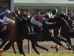 20161105 東京11R 京王杯2歳S(G2) コウソクストレート 28