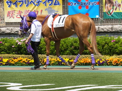 20140426 東京4R スクノード 03