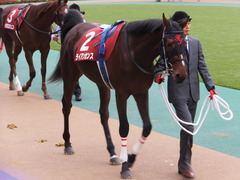 201301109 東京 ライアンセンス 03