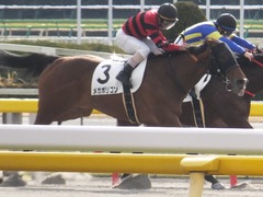 20170205 東京1R 3歳未勝利 メガポリゴン 19