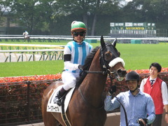20160423 東京5R 3歳未勝利 アークアーセナル 17