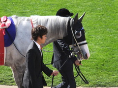 20140504 京都11R 天皇賞春 ゴールドシップ 09