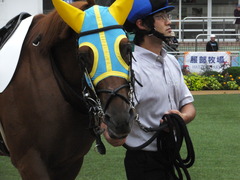 20161001 中山4R 3歳上障害未勝利 ワイルドジーク 04