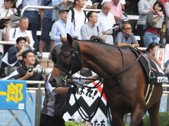 20170930 中山10R 習志野特別(1000) オウケンブラック 12