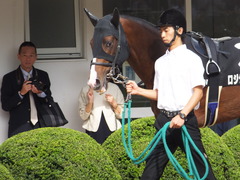 20150921 中山9R 白井特別 ロジダーリング 03