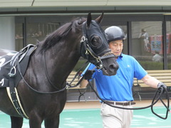 20170625 東京11R パラダイスS 3歳上(OP) ショウナンアチーヴ 02