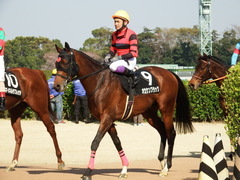 20180325 中山10R 美浦S(1600) オウケンブラック 18