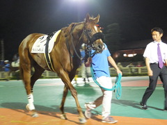 20140622 大井8R ライトハーティド 05