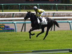 20150322 中山6R 3歳500万下 ファインライナー 13
