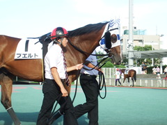 20180814 大井5R ミッドサマー賞 B1B2 プエルト 07