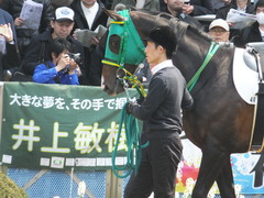 20170319 中山4R 3歳メイクデビュー ジュンマシュウ 07