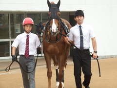 20180930 中山9R サフラン賞 2歳牝馬500万下 ポリアンサ 07