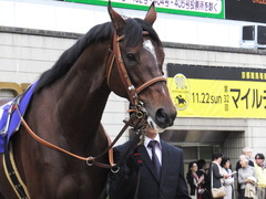 20151122 京都11R MCS(G1) モーリス 09