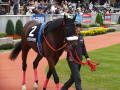 20131026 新潟 ダイボサツ16戦目 ラストランとなってしまった 02