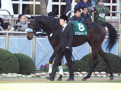 20180114 中山11R 京成杯(G3) ダブルシャープ 01