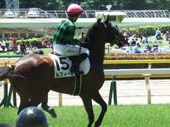 20180520 東京4R 3歳未勝利 ルフィーナ 14