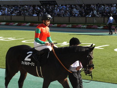 20161105 東京9R 南武特別(1000) マイネルサージュ 17