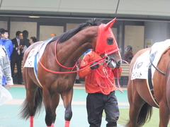 20161119 東京1R 2歳未勝利 パイオニアワーク 07