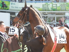 20180325 中山1R 3歳未勝利 ルフィーナ 07