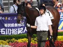 20150530 東京12R 4歳上1000万下 ヴィルトグラーフ 05