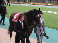 20131109 東京 モーリス 10