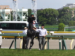 20160626 東京11R パラダイスS 3歳上OP ショウナンアチーヴ 19