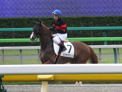 20170618 東京7R 33歳上500万下 ホウオウマリリン 10