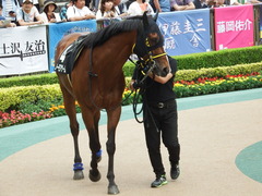 20180506 東京12R 立川特別(1000) ノーモアゲーム 09