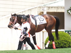 20170514 京都5R 3歳未勝利 ホウオウドリーム 08
