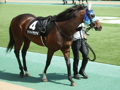 20180602 東京9R 国分寺特別 3歳上500万下 アドマイヤシナイ 13