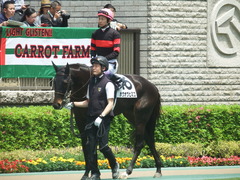 20190511 東京5R 3歳未勝利 ホウオウヒミコ 15