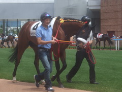 20110626 函館 ダイボサツ5戦目 念願の初勝利^^v 02