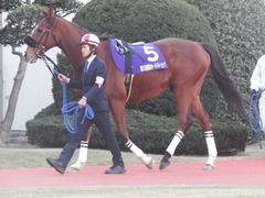 20180103 川崎11R 報知GC A1下 ユーロビート 03