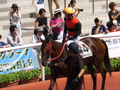 20170910 阪神3R 3歳未勝利 フェアチャイルド 24