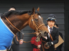 20150307 中山10R スピカS 4歳上1600万下 モーリス 18