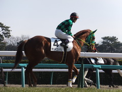 20140118 中山競馬場 ポッドコンジュ 16