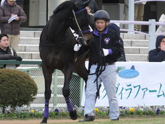20170114 京都8R 4歳上牝馬500万下 サラマンカ 07