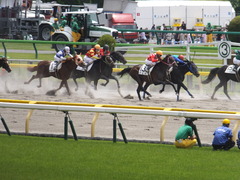 20150523 東京3R 3歳未勝利 コスモポッポ 15